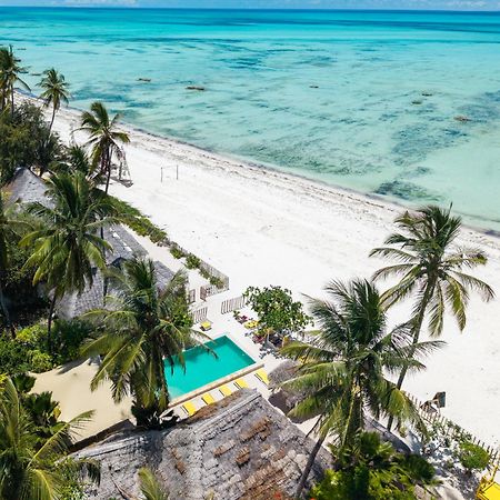 Pili Pili Palm Beach جامبياني المظهر الخارجي الصورة