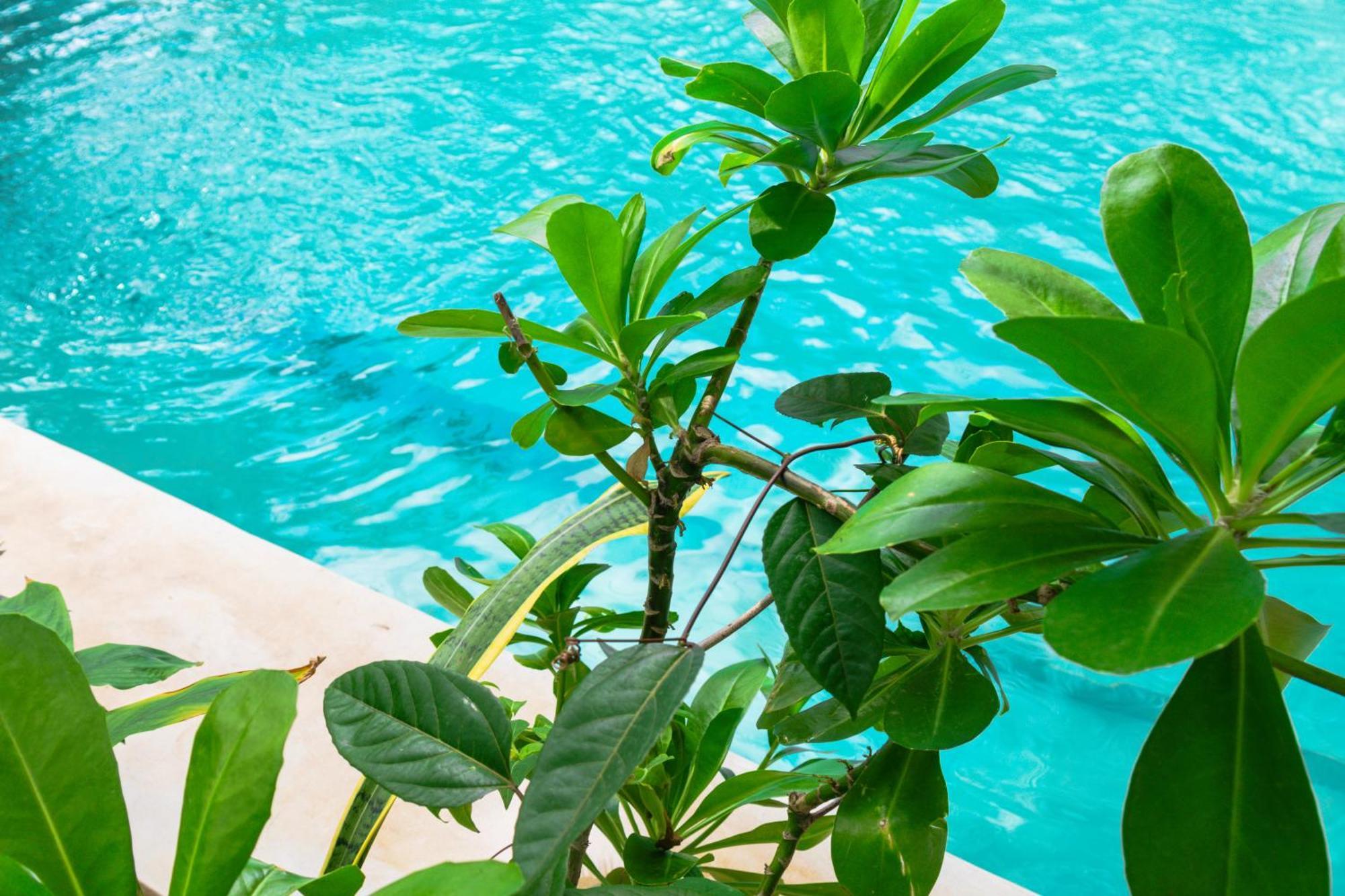 Pili Pili Palm Beach جامبياني المظهر الخارجي الصورة