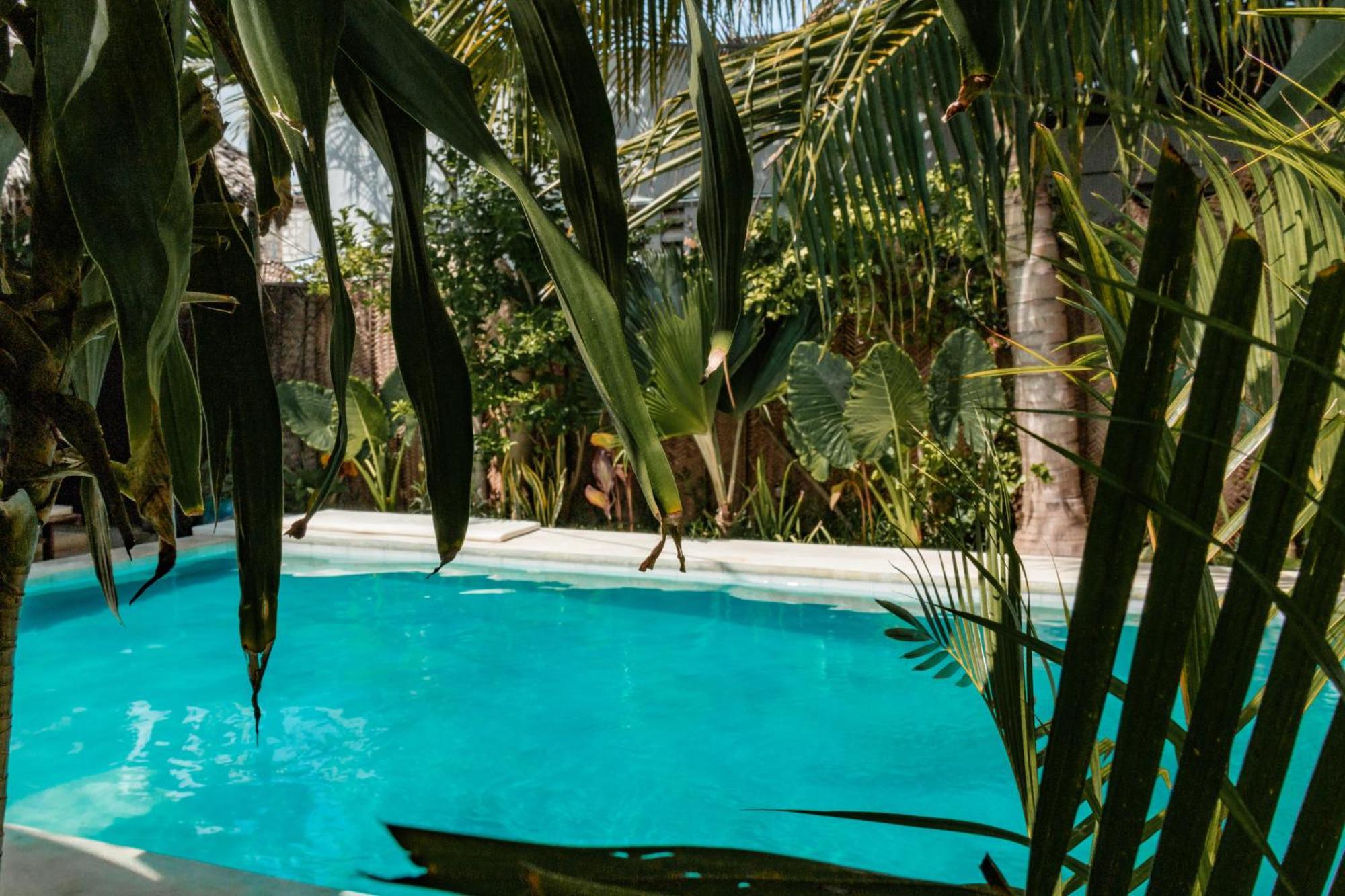 Pili Pili Palm Beach جامبياني المظهر الخارجي الصورة